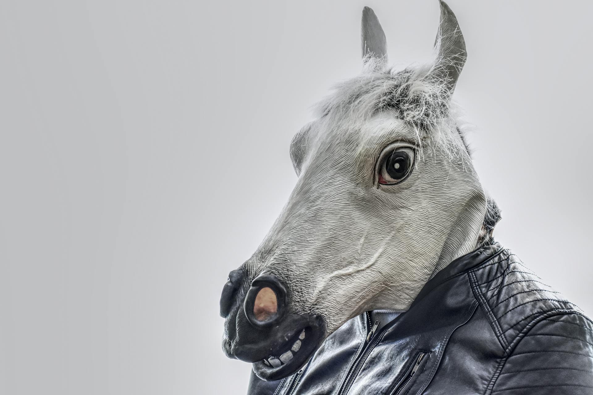 Person wearing a horse head mask