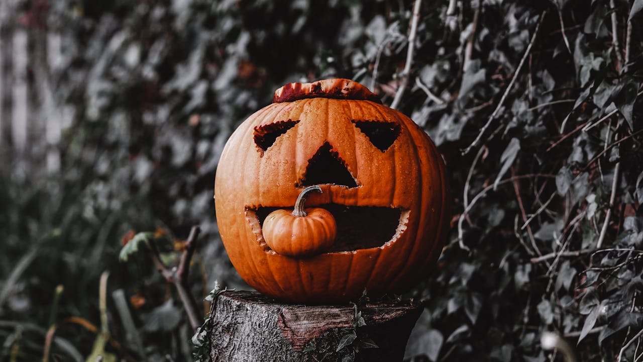 Up close picture of a carved pumpkin eating a small pumpkin sat atop a tree stump with twigs and grass around it