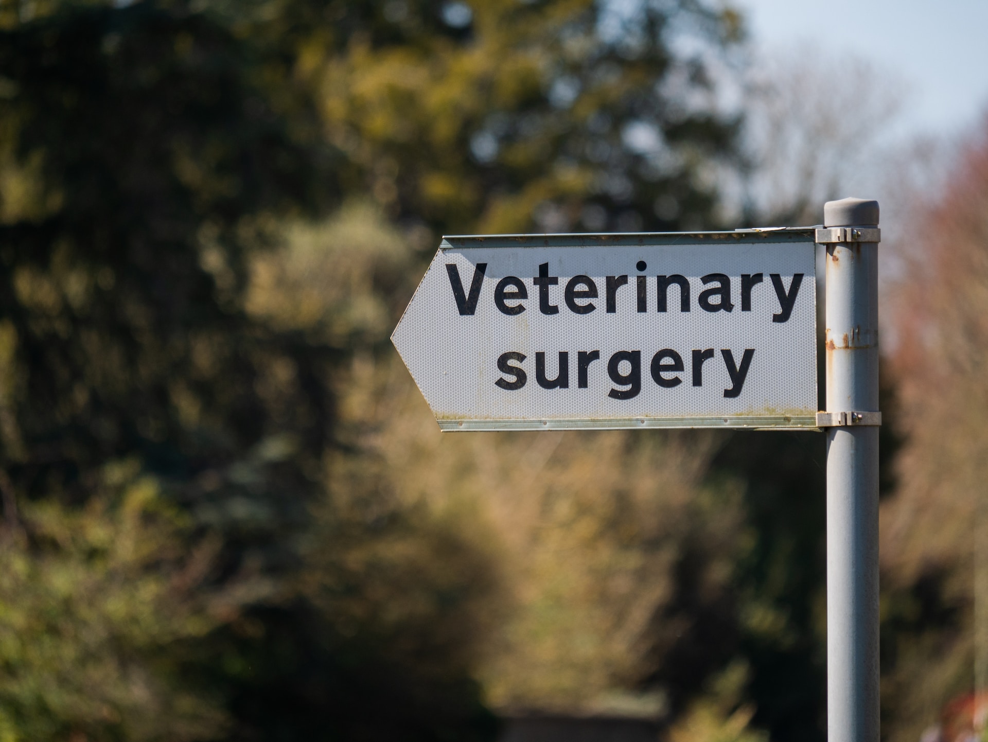 Sign pointing to Veterinary surgery